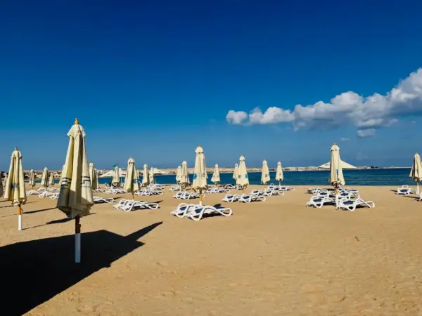 WhatsApp-Image-2026-01-22-at-12.06.11