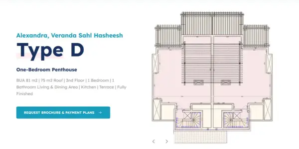 photo_5_2026-01-25_17-46-40